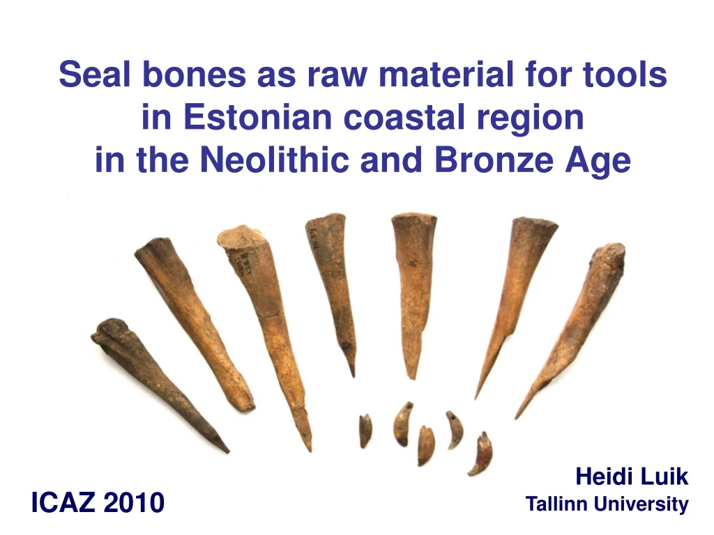 seal bones as raw material for tools in estonian coastal region in the neolithic and bronze age