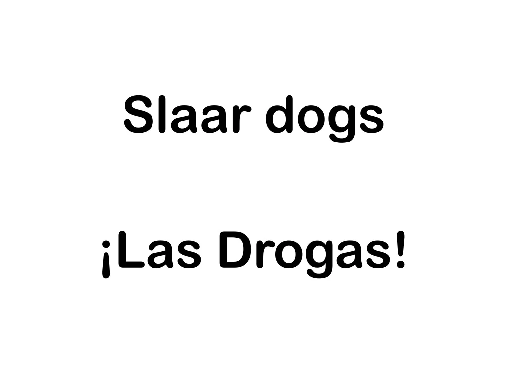 slaar dogs