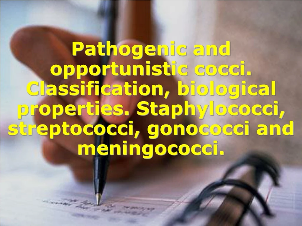 pathogenic and opportunistic cocci classification
