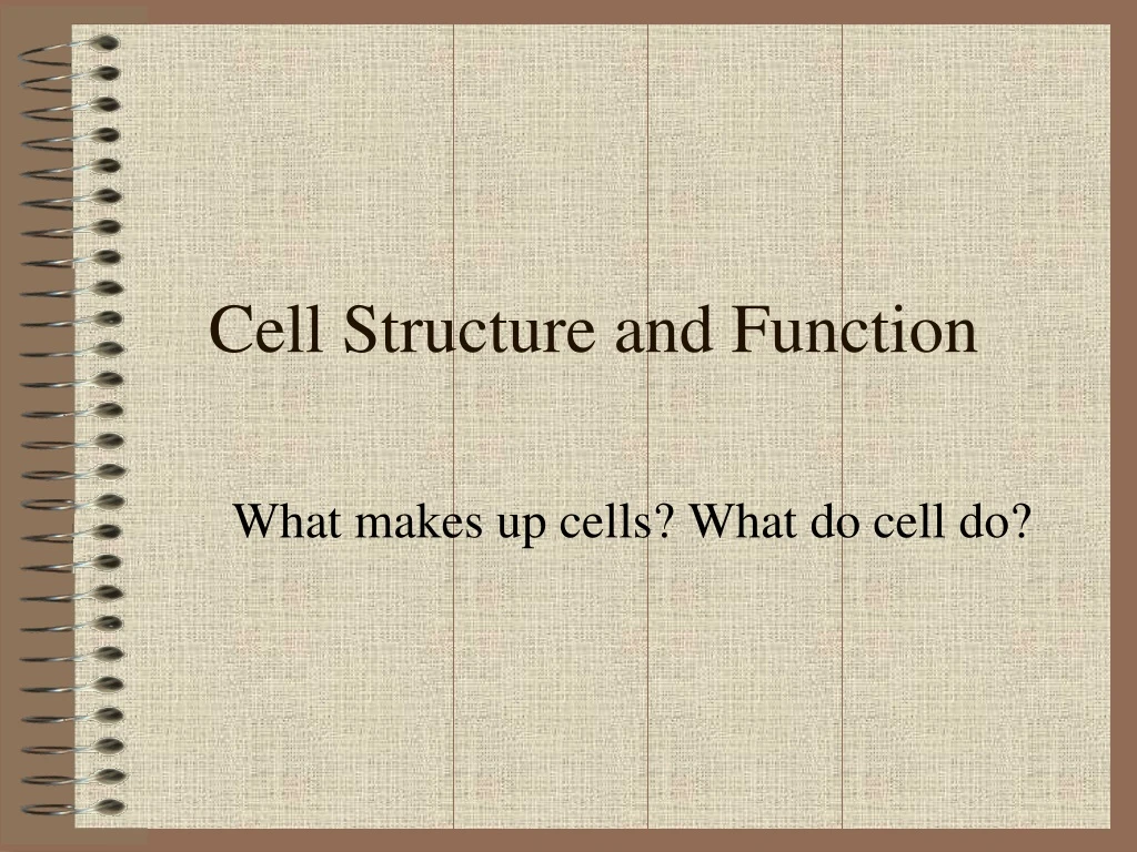 cell structure and function