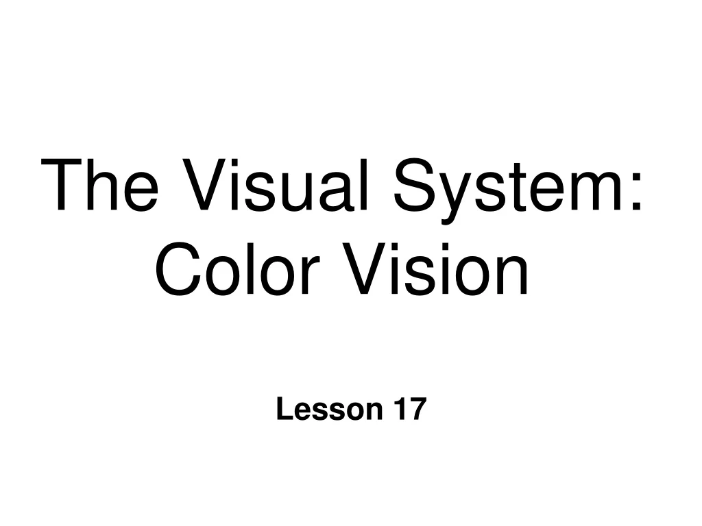 the visual system color vision
