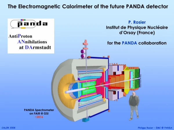 The Electromagnetic Calorimeter of the future PANDA detector