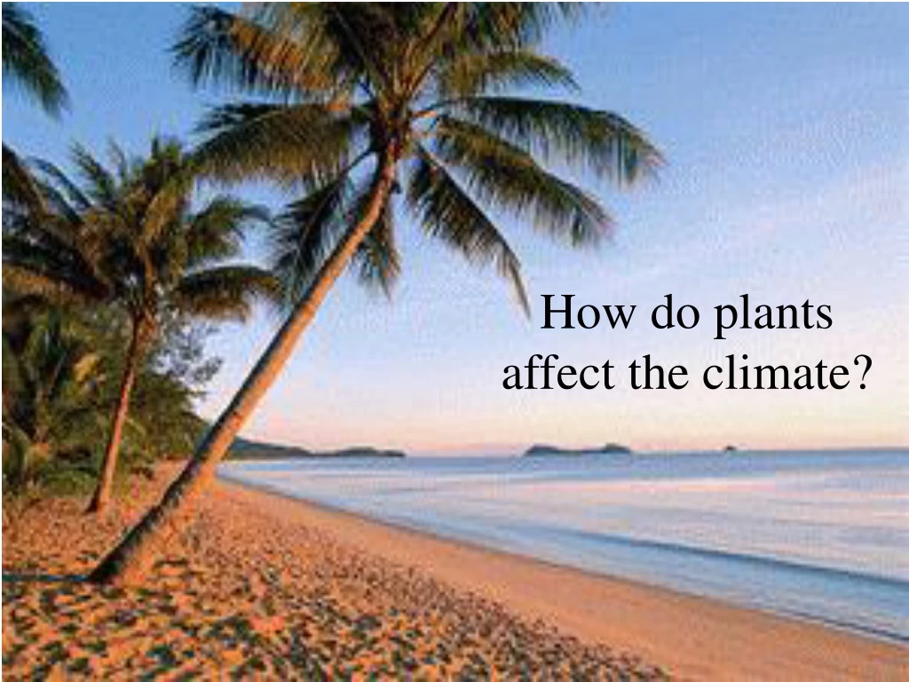 how do plants affect the climate