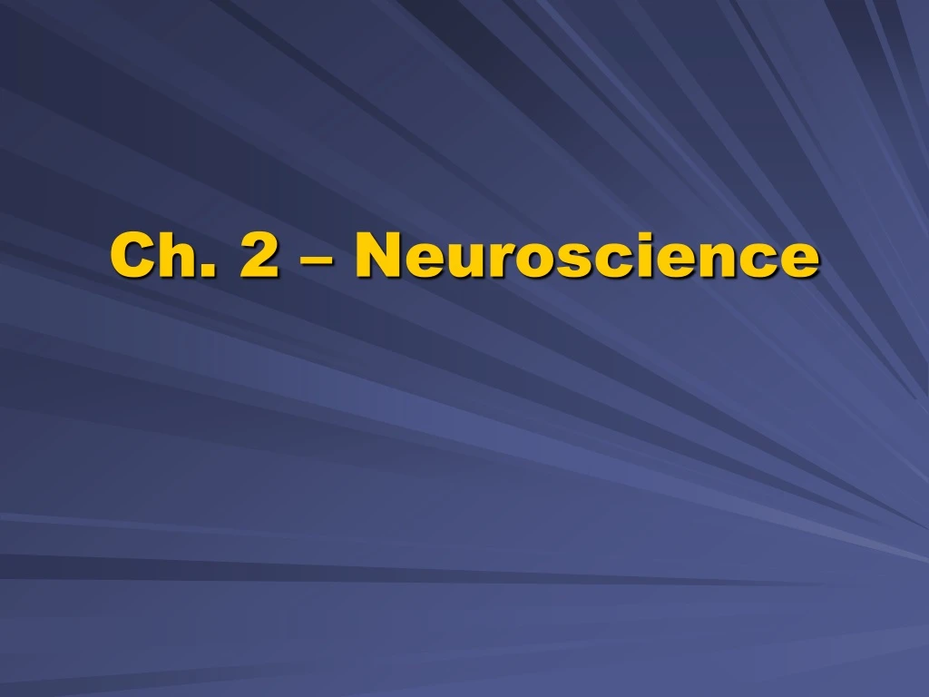 ch 2 neuroscience