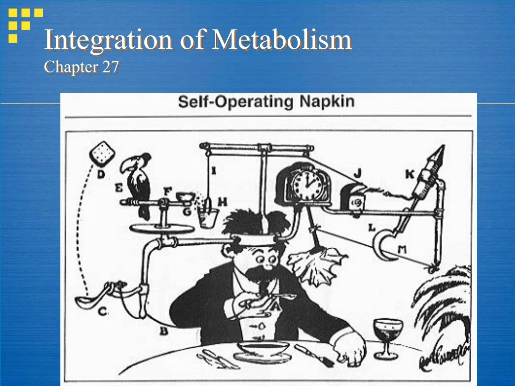 integration of metabolism chapter 27