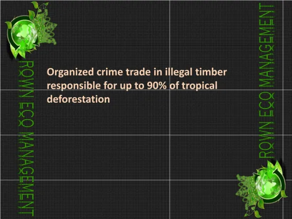 Organized crime trade in illegal timber responsible for up t