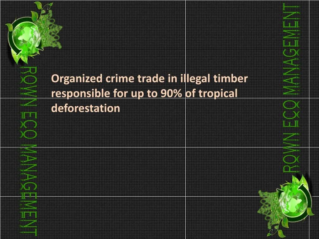 organized crime trade in illegal timber
