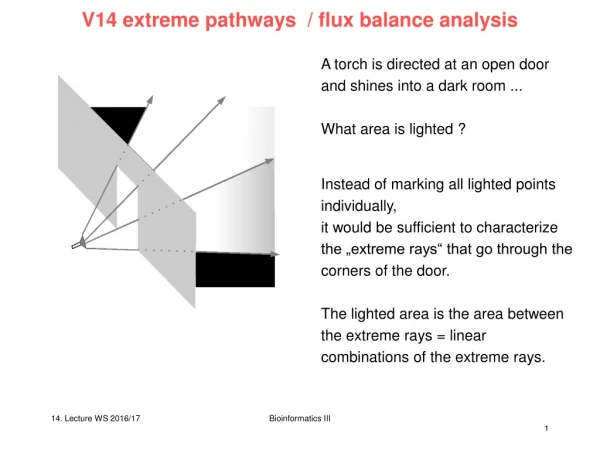 V14 extreme pathways / flux balance analysis