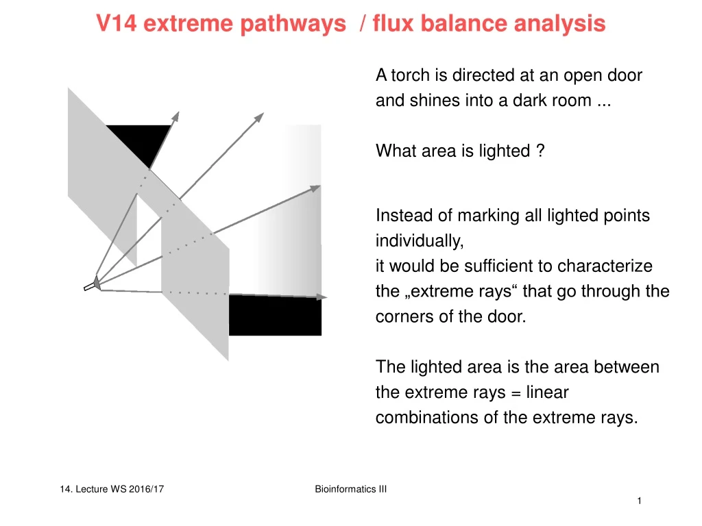 v14 extreme pathways flux balance analysis