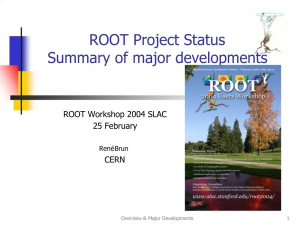 ROOT Project Status Summary of major developments