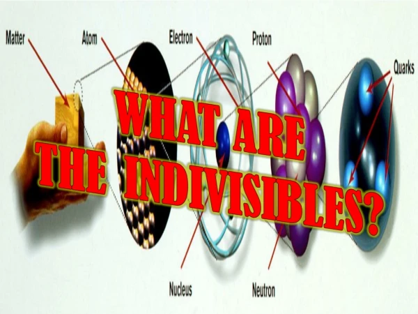 WHAT ARE THE INDIVISIBLES?