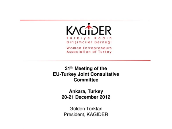 31 th M eeting of the EU-Turkey Joint Consultative Committee Ankara, Turkey 20-21 December 201 2
