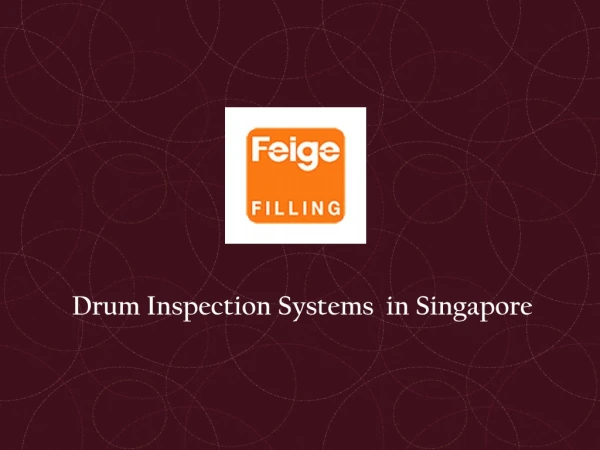 Drum Inspection System Singapore