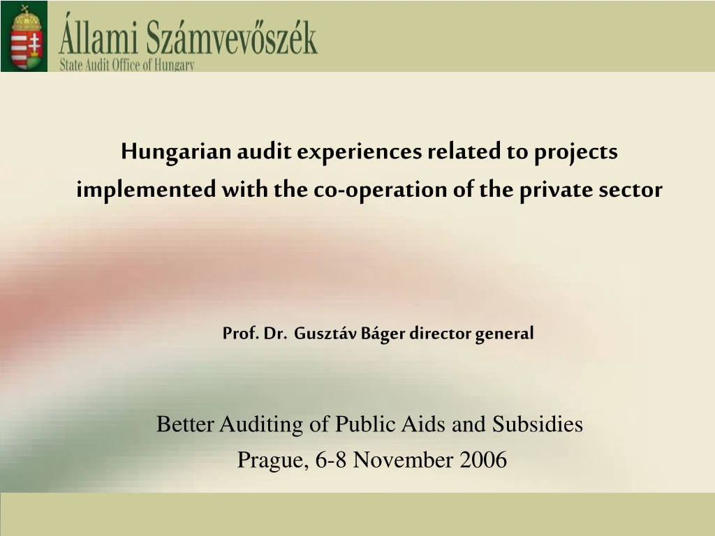 hungarian audit experiences related to projects