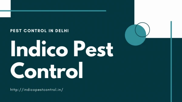 Pest Control Services in Uttam Nagar