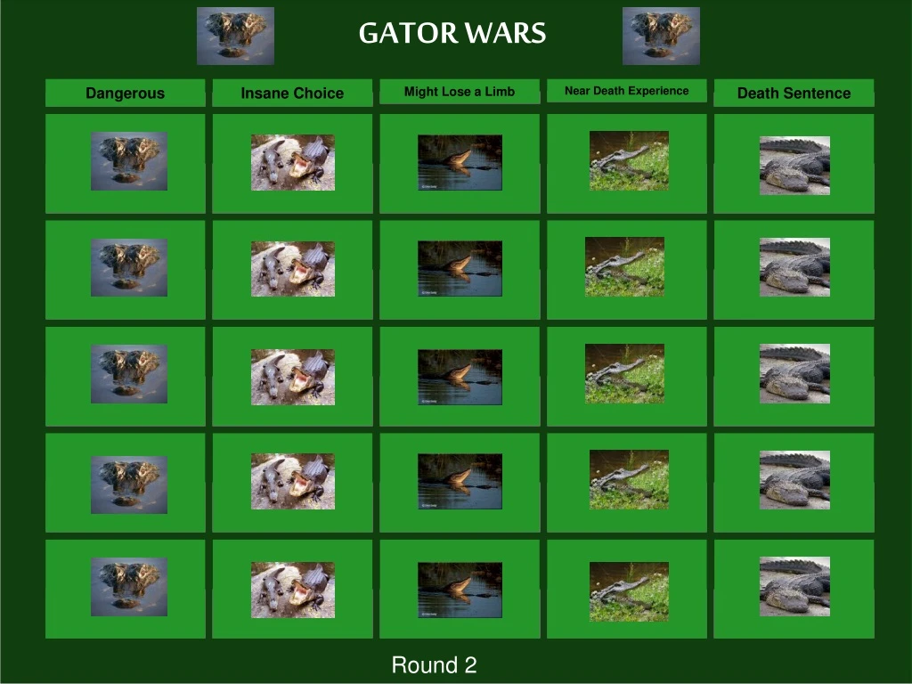 gator wars