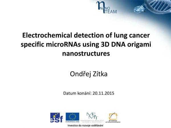 Electrochemical detection of lung cancer specific microRNAs using 3D DNA origami nanostructures