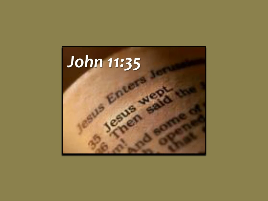 john 11 35