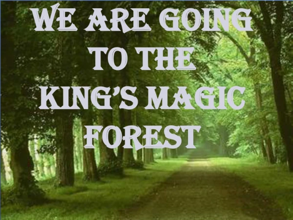 we are going to the King’s Magic Forest