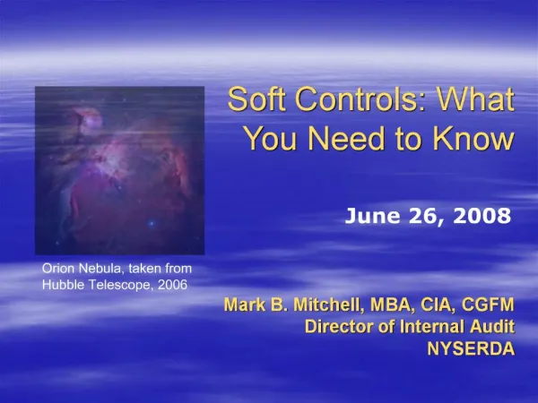 Mark B. Mitchell, MBA, CIA, CGFM Director of Internal Audit NYSERDA