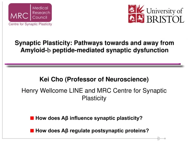 Kei Cho (Professor of Neuroscience) Henry Wellcome LINE and MRC Centre for Synaptic Plasticity