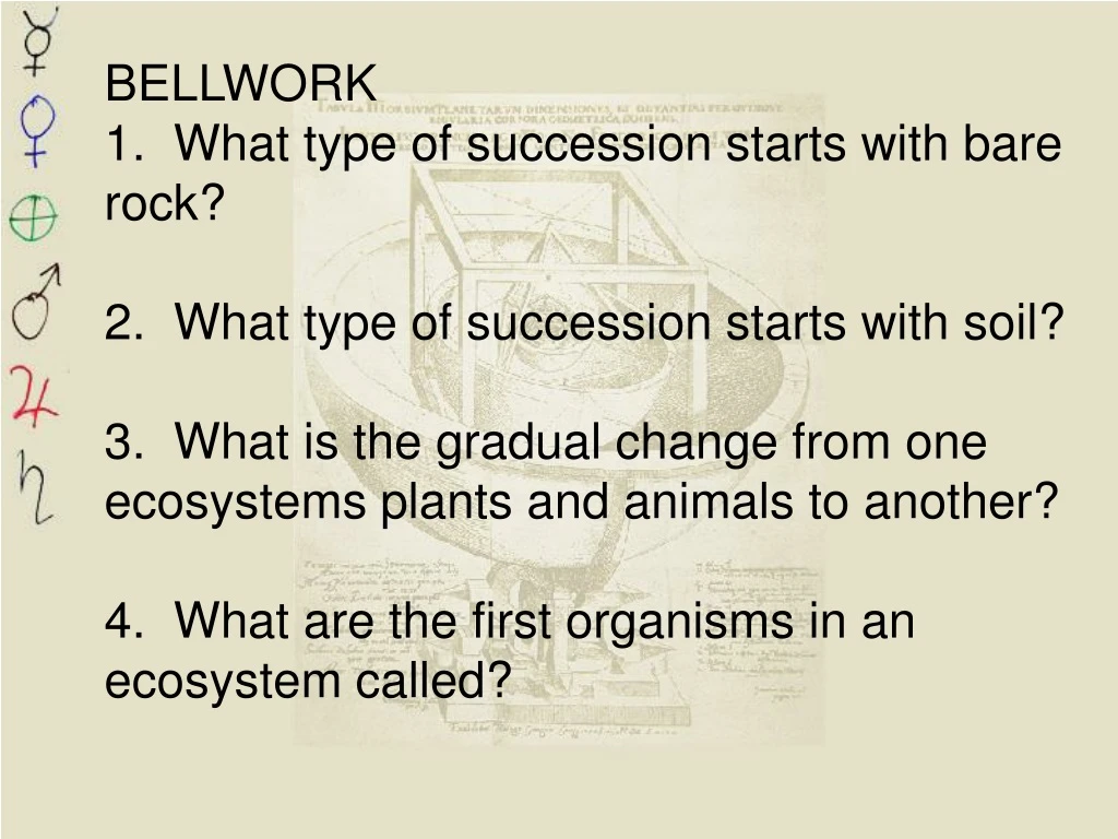 bellwork 1 what type of succession starts with
