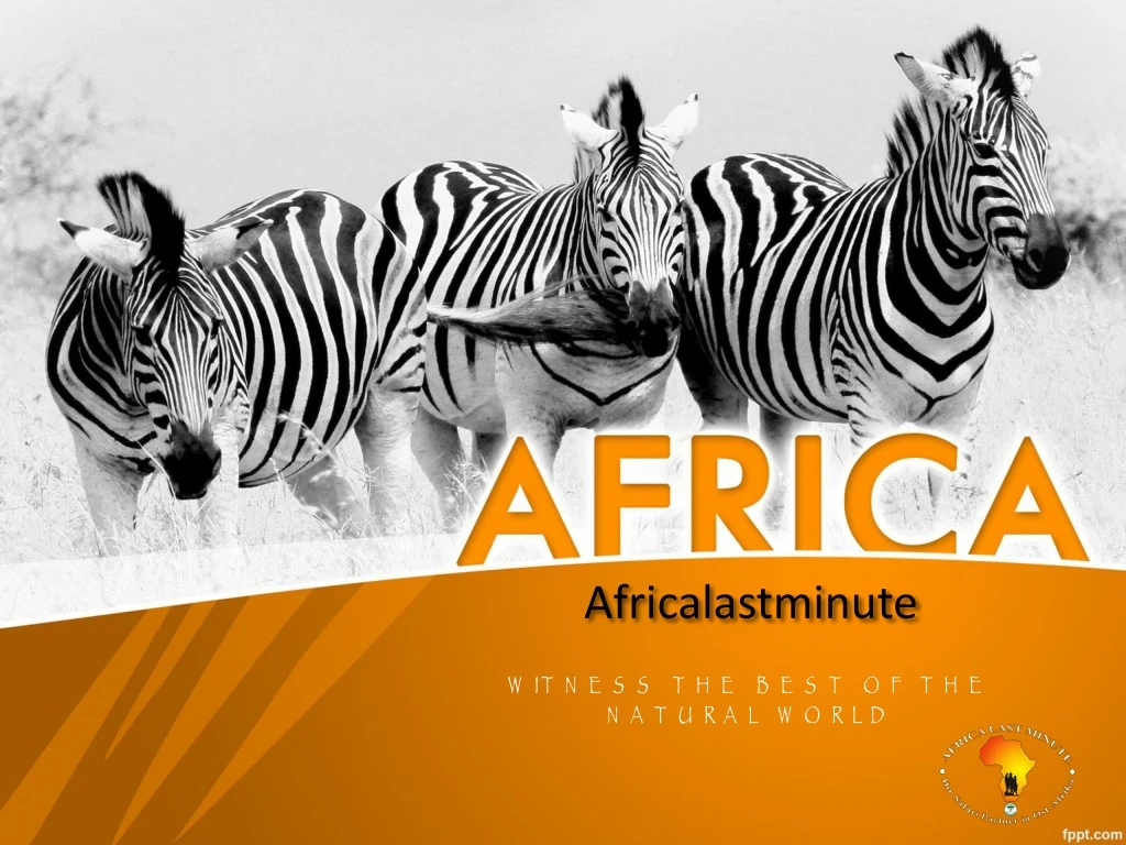 africalastminute