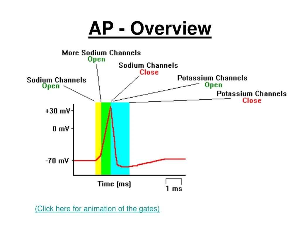 ap overview