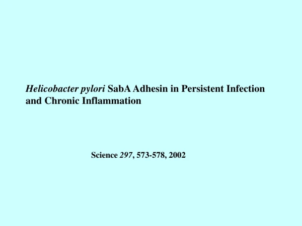 Helicobacter pylori SabA Adhesin in Persistent Infection and Chronic Inflammation