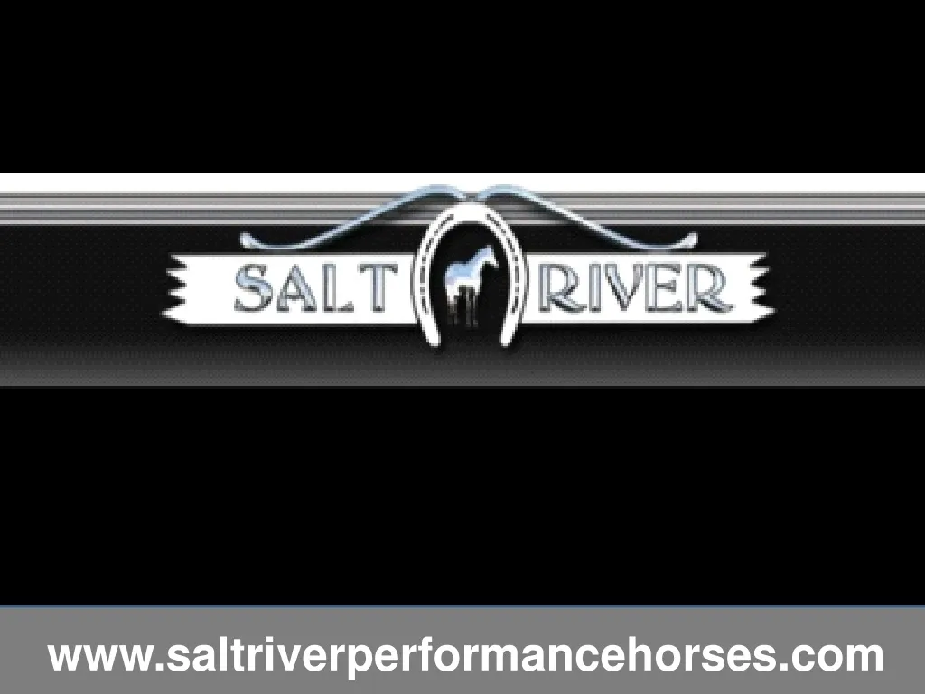 www saltriverperformancehorses com
