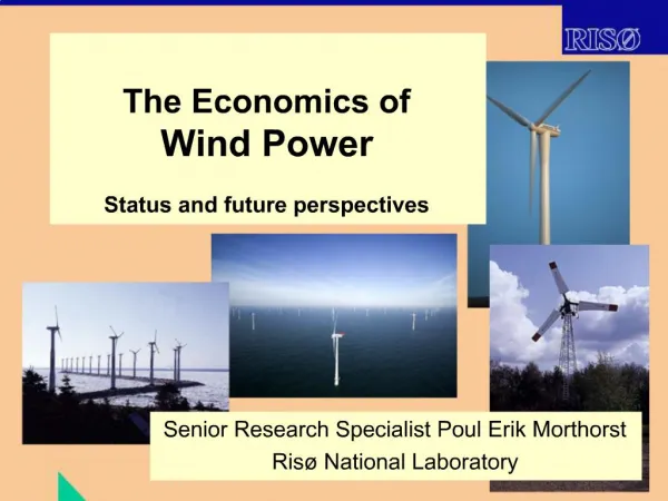 The Economics of Wind Power Status and future perspectives