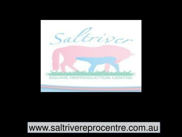 Saltriver Equine Reprocentre Centre
