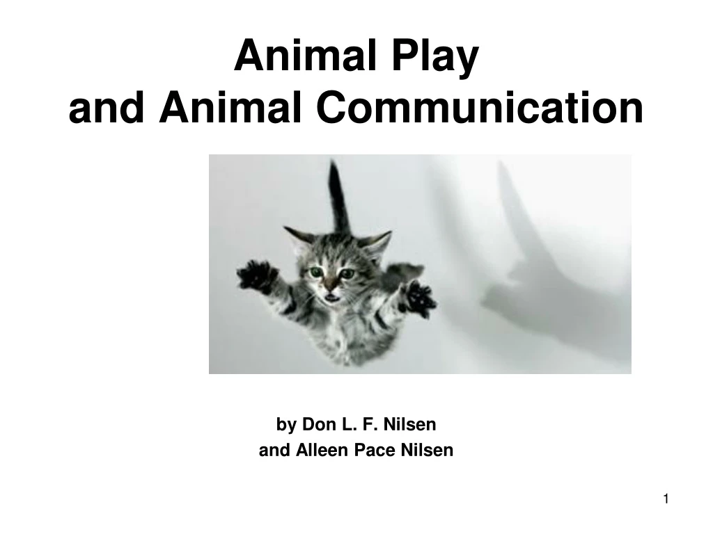 animal play and animal communication