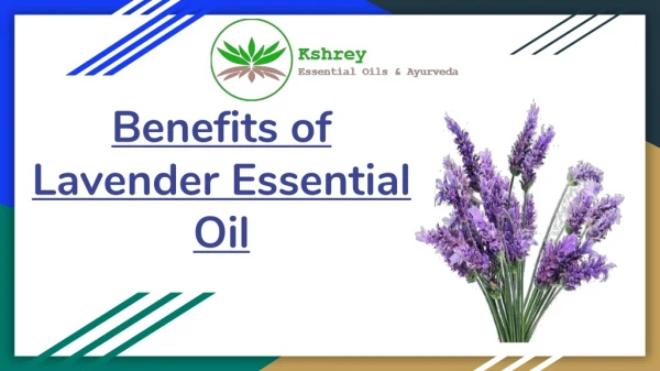 What are the Benefits of Lavender Essential Oil