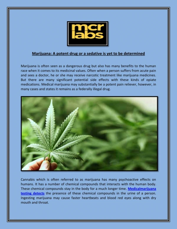 marijuana a potent drug or a sedative