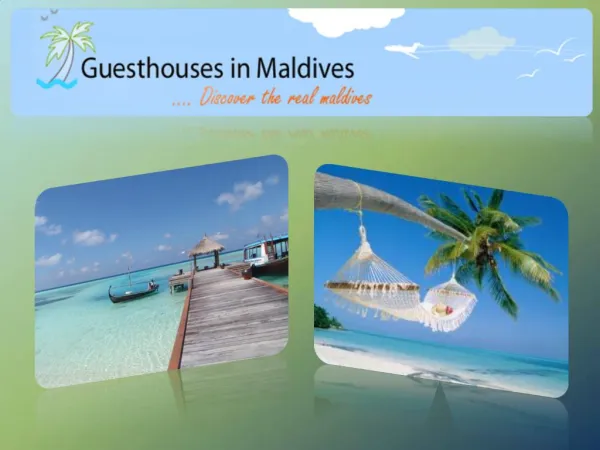 Maldives Guest Houses