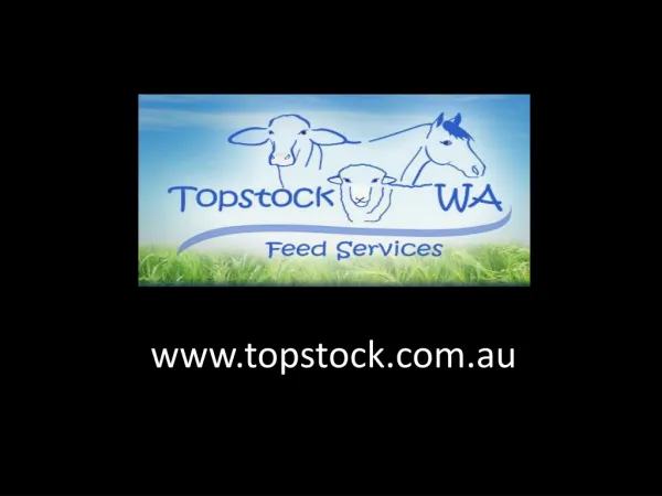 Topstock WA Fedd Services