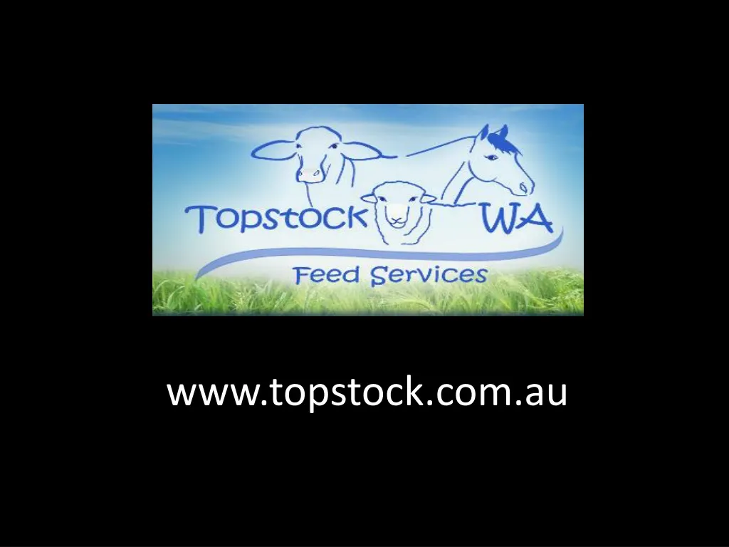 www topstock com au