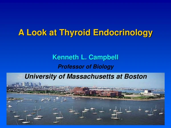A Look at Thyroid Endocrinology Kenneth L. Campbell Professor of Biology