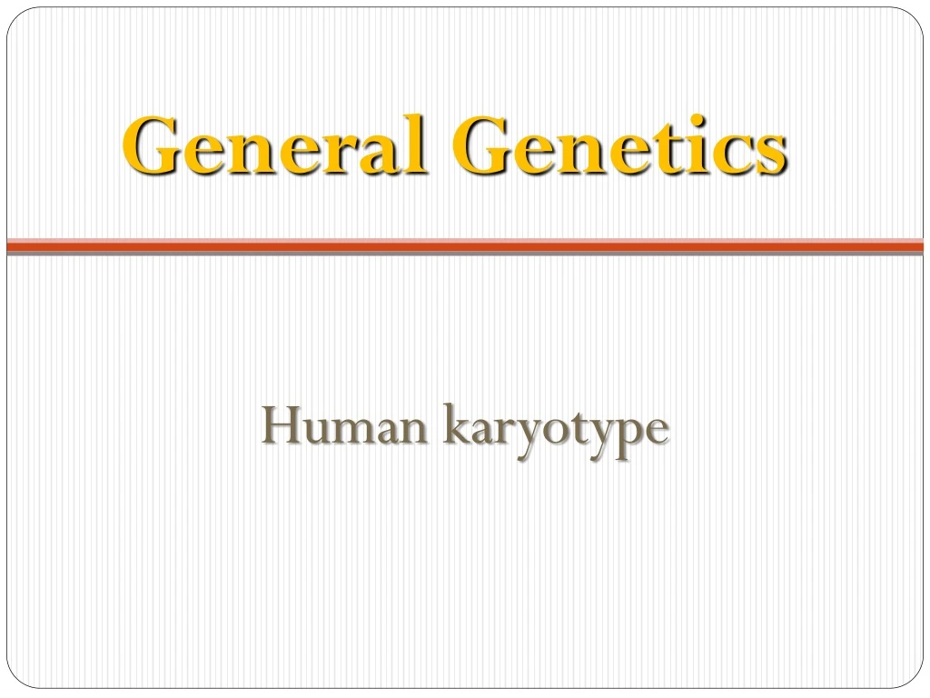 human karyotype