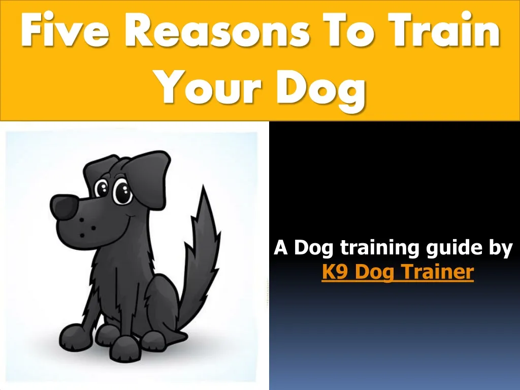 five reasons to train your dog