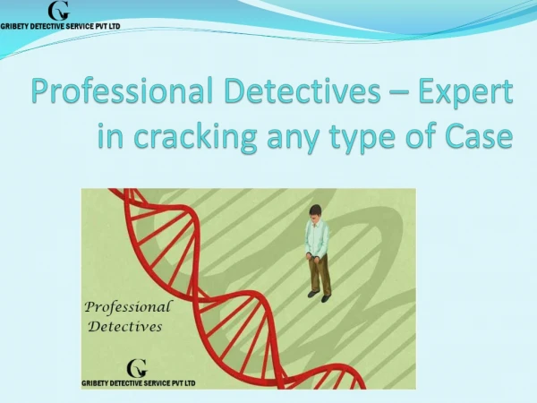 Professional Detectives Expert in cracking any type of Case