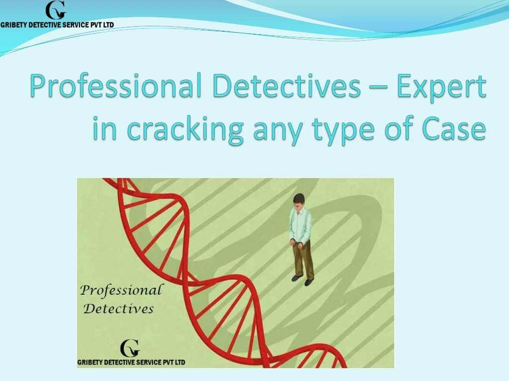 professional detectives expert in cracking any type of case