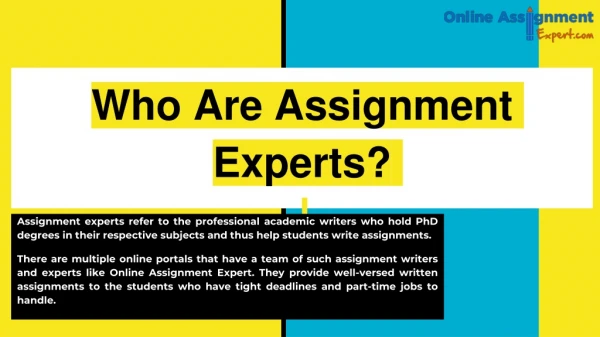 Who Are Assignment Experts?