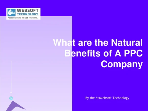 What are the Natural Benefits of A PPC COMPANY?