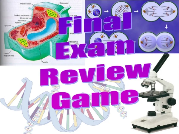 Final Exam Review Game