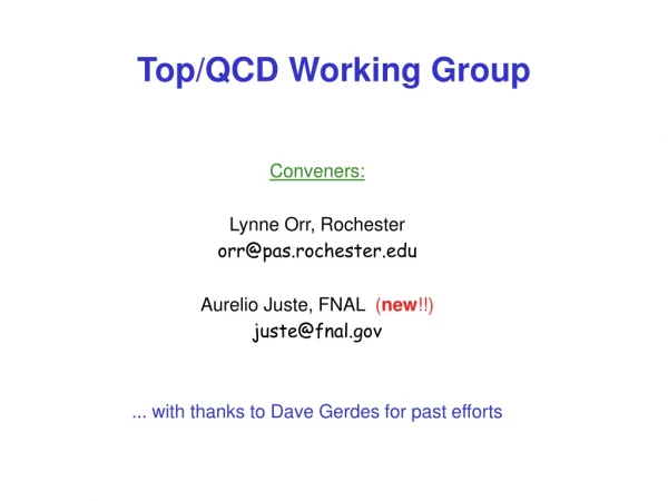 Top/QCD Working Group