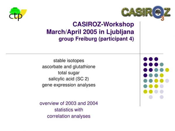 CASIROZ-Workshop March/April 2005 in Ljubljana group Freiburg (participant 4)