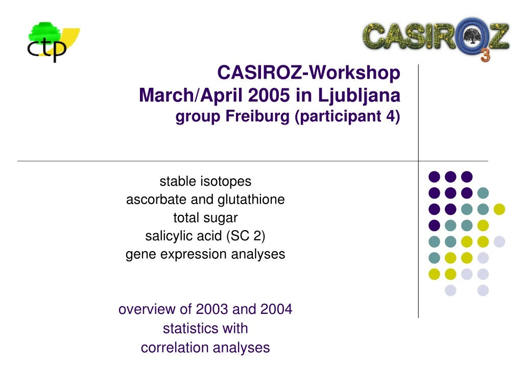 casiroz workshop march april 2005 in ljubljana group freiburg participant 4