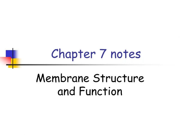 Chapter 7 notes